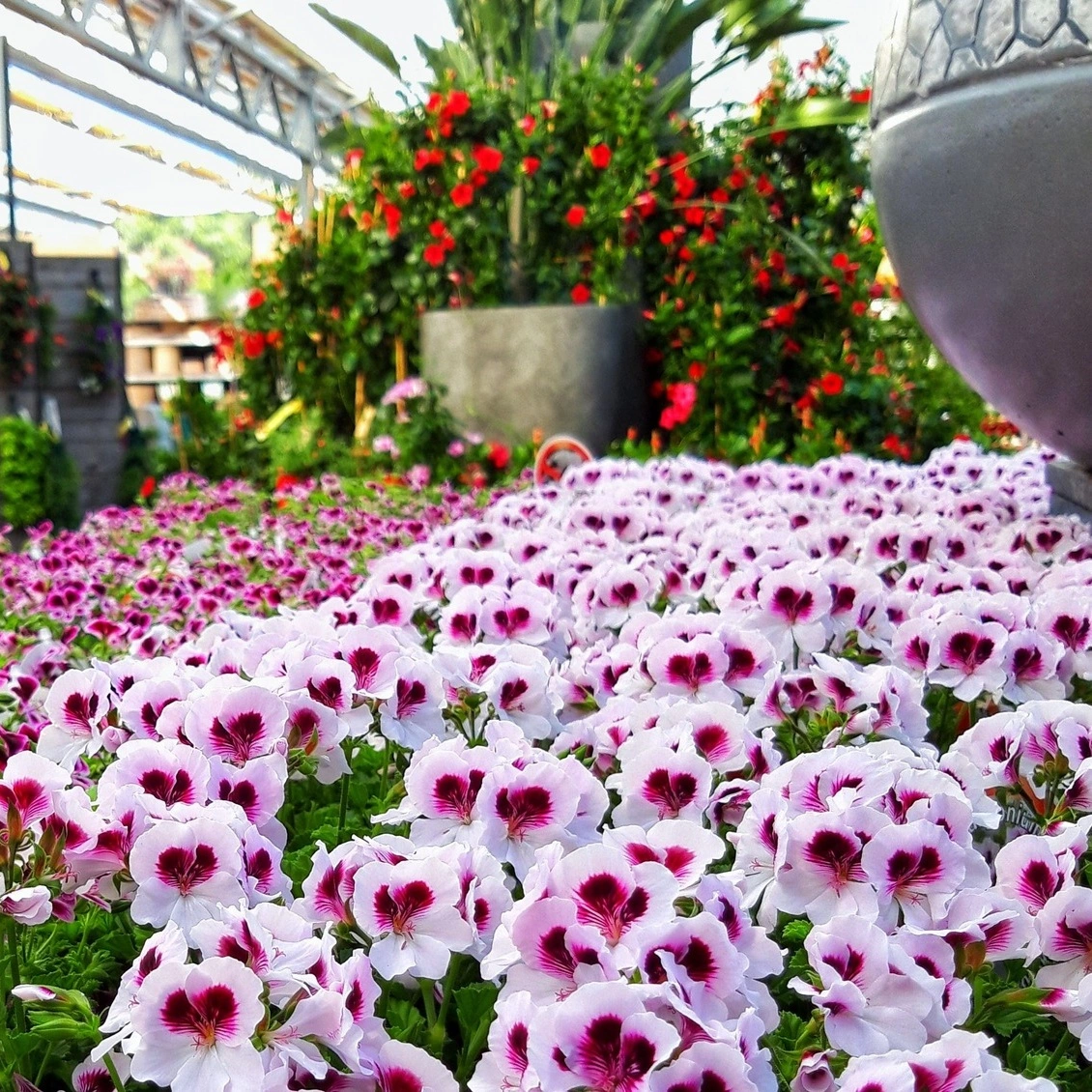 XXL-Indoor-Spielewelt im Gartencenter Daniëls