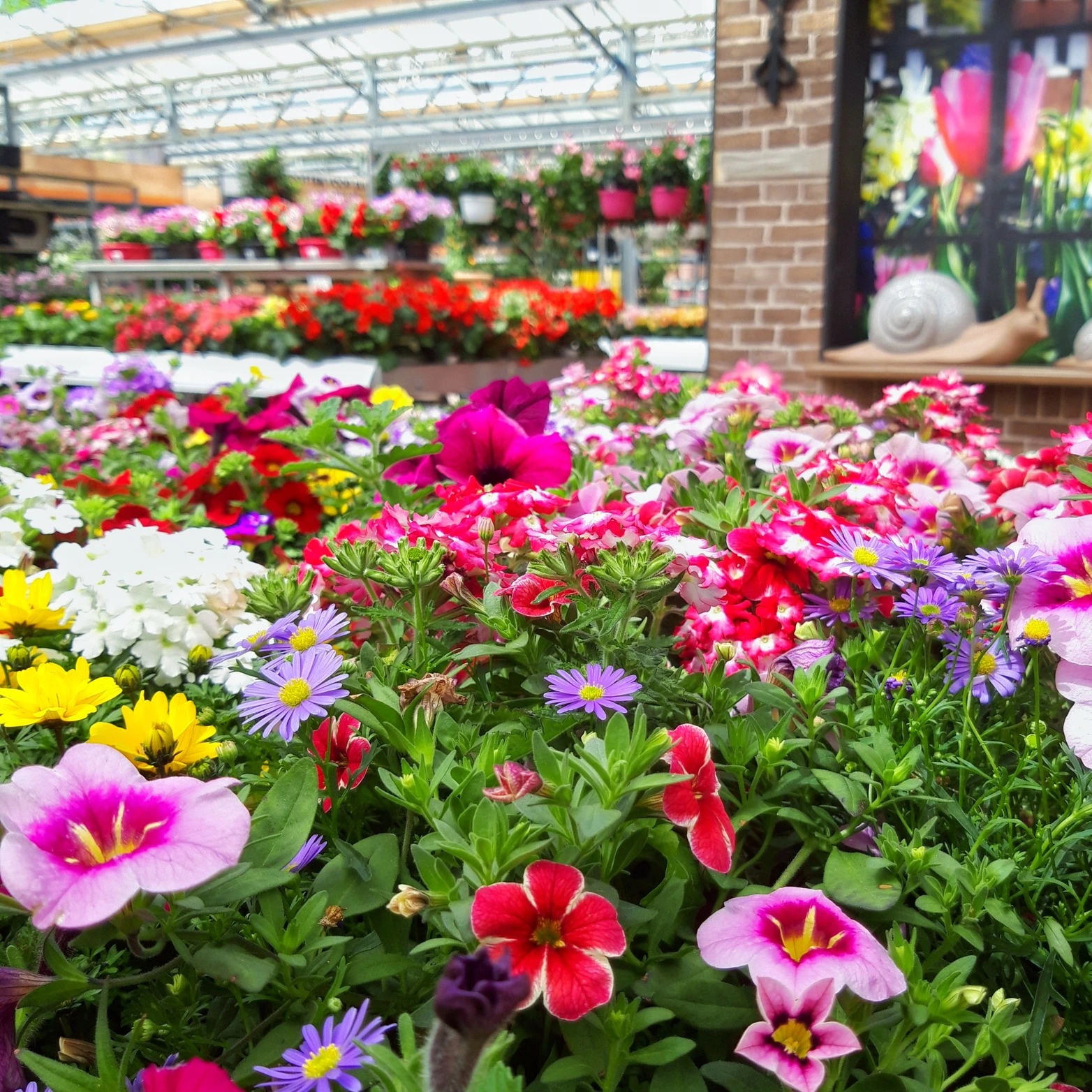 Loungesets en tuinmeubelen opstelling bij Tuincentrum Daniëls