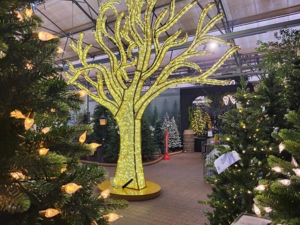Weihnachtswelt mit beleuchteten Weihnachtsbäumen