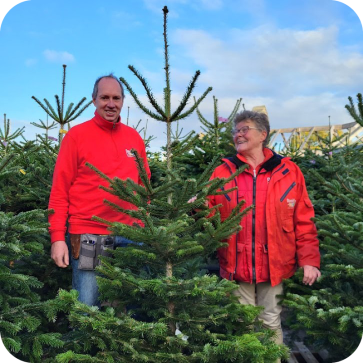 staal wereld Theoretisch De mooiste kerstbomen - Tuincentrum Daniëls