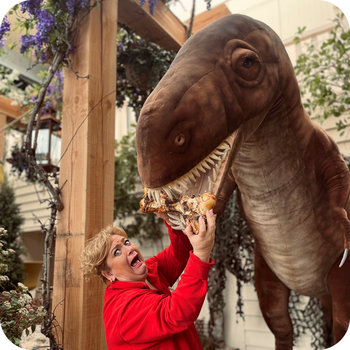 Dino speurtocht