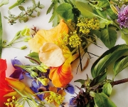Natuurvoedingsdeskundige