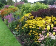 Vaste planten specialist