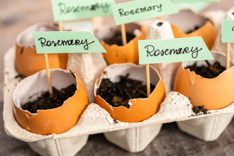 Budgetvriendelijk tuinieren doe je zó