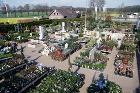 Bezoek ons tuincentrum in Limburg: ook op zondag geopend!