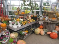 Buitenafdeling