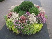 Buitenafdeling