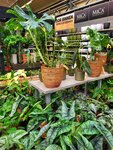 Ons tuincentrum