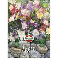 Akelei Langgespornte Mix