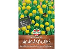 Ananasblumen. Süßer Duft