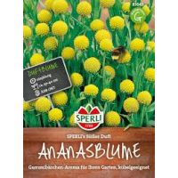 Ananasblumen. Süßer Duft