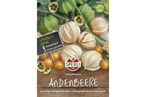 Andenbeeren. Inkapflaume