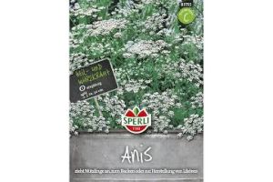 Anis Anis