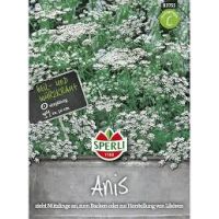 Anis Anis