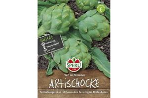 Artischocke Vert de Provence
