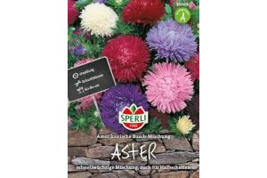 Astern Amerik.Busch Mix