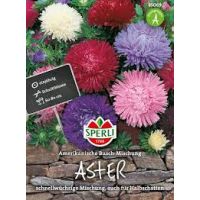 Astern Amerik.Busch Mix