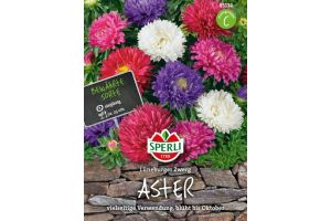 Astern. Lüneb. Zwerg Mix