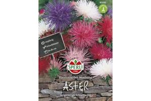 Astern. Ries.Strahlen Mix