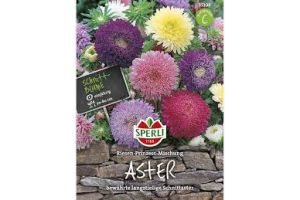 Astern. Riesen-Prinz. Mix