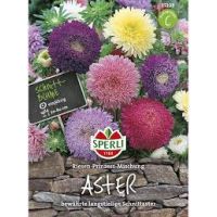 Astern. Riesen-Prinz. Mix