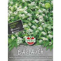 Bärlauch. Wald Knoblauch