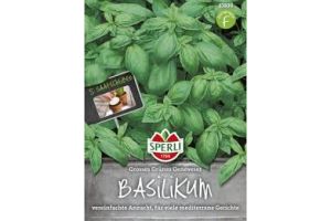 Basilikum. Genoves.5 Saat.