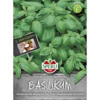 Basilikum. Genoves.5 Saat.