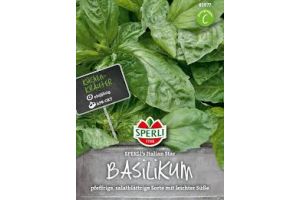 Basilikum. Italian Star