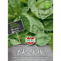 Basilikum. Italian Star