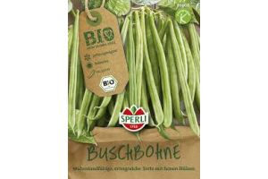 BIO-Buschbohne grün