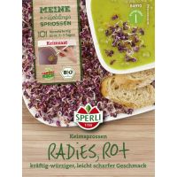 BIO Keimsprossen Radies (rot)