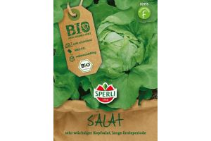BIO-Kopfsalat
