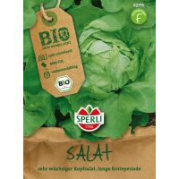 BIO-Kopfsalat