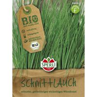 BIO-Kräuter Schnittlauch