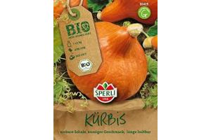 BIO-Kürbis