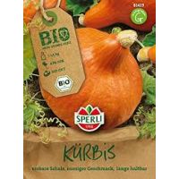 BIO-Kürbis