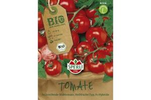 BIO-Tomate Stabtomate