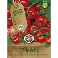 BIO-Tomate Stabtomate