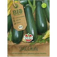 BIO-Zucchini