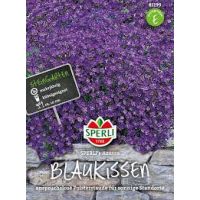 Blaukissen Azzurro