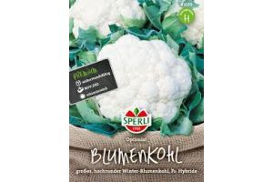 Blumenkohl. Optimist
