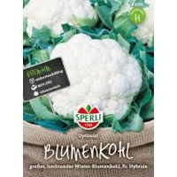 Blumenkohl. Optimist