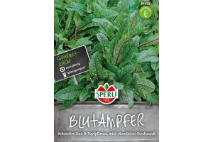 Blutampfer.Essbare Staude