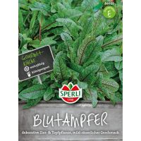 Blutampfer.Essbare Staude