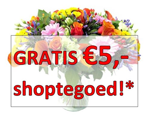 Boeket groot proef + 5,- shoptegoed
