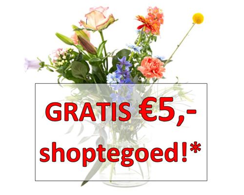 Boeket veld proef + 5,- shoptegoed