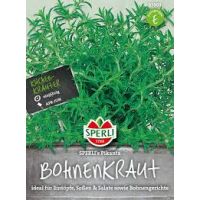 Bohnenkraut. Pikanta
