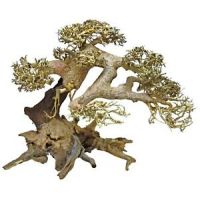 Bonsai driftwood small 23x12x15cm