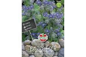 Borretsch . Gurkenkraut